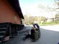SS fs flip slam