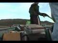 Musky Mania - Extreme Tiger Muskie Fishing