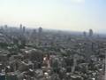 Vieneros en Japón El Sur de Tokyo 1ª Parte / 5