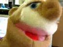 You like puppets? You like puppets?