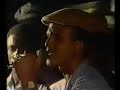 vintage reggae vintage reggae