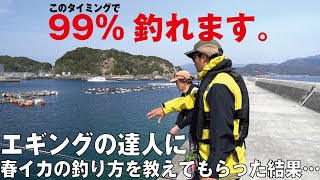 【TSURIHACK TV】春イカ釣れん…となる前に。春のエギングはとにかく●●が超重要。達人の読みに衝撃を受けた件。