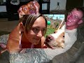 PITBULLS- There is no denying their love by Kidwell Productions.wmv