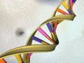 Unleash the Future - Biofuels