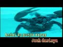 Diari Hati Mu - Siti Nurhalizah