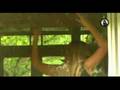 KILL IRANIAN KITCH (JAVAD) MUSIC-Benyamin/Loknat