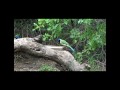 Visit To Laguna Atacosca Wildlife Refuge