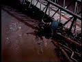 Man tries to catch beaver Man tries to catch beaver
