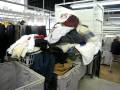 Own your own Dry Cleaning Business | Dry Cleaning Franchise