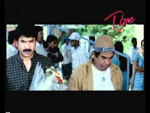 Brahmanandam king-Brahmanandam, nagarjuna, trisha, srihari, charmi, priyamani, anushka, rohit, ali, sunil, dharmavarapu, devisriprasad, janeliya, srinivas, shiyajishinde, jayaprakashreddy