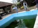 Este bicho, bautizado Zed (`cause he`s DEAD) post mortem (aunq dps se supo q era nena), apareció flotando en la pileta con agua podrida de la quinta de Geri. Esto es cuando nos deshicimos de la evidencia.