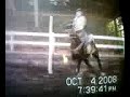 Gymkhana-Pole Bending