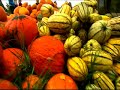 Travel Germany: Germany Travel- Germany Travel Video Postcar