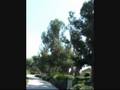 Irvine Bike Ride