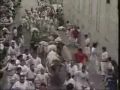 Running of the Bulls, Encierro 08 July, 2007 Pamplona, Spain