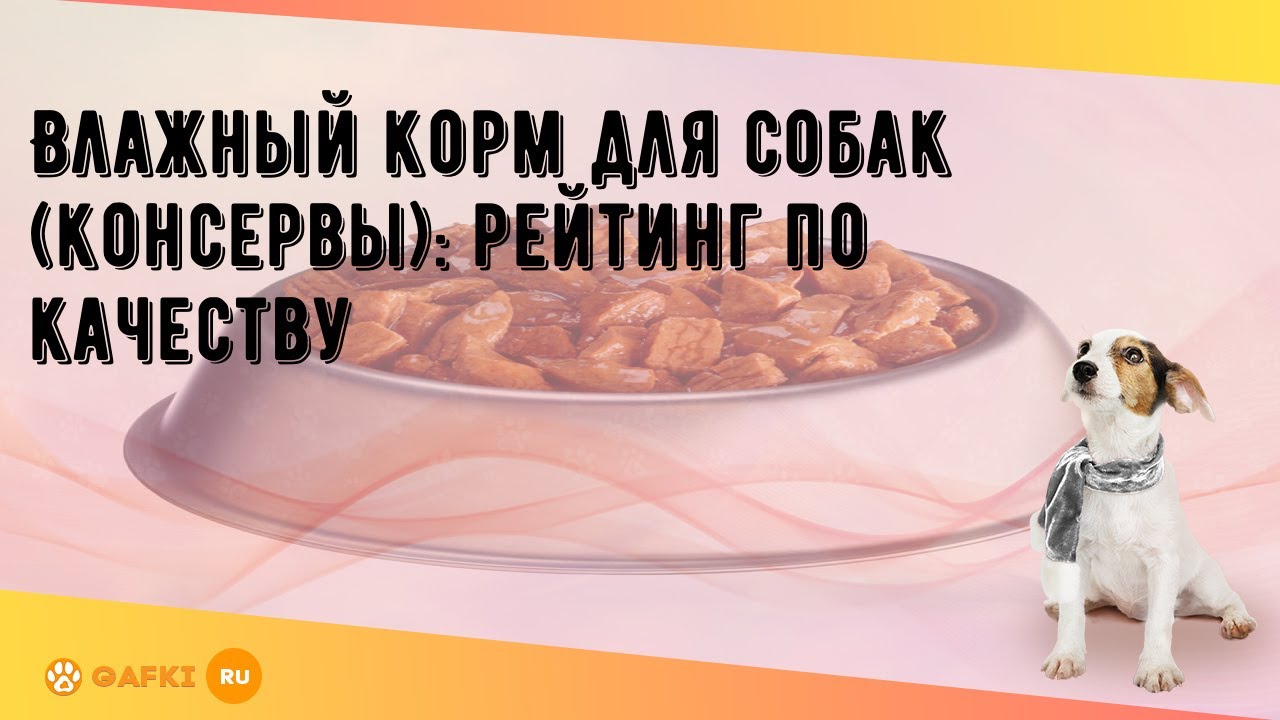 Влажный корм для собак (консервы): рейтинг по качеству