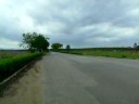 CBR 1100 XX e GSX 750 f acelerando