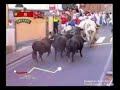 Segunda prte del video de PaPeloN TV en San Fermin 2008