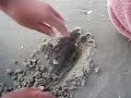 couteau couteau