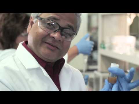 how to isolate phytochemicals