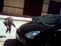 videos de parkour