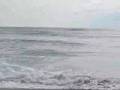 Zap Skim Pro's, Dion Davis & Steve Boomhower