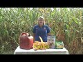 Marion County FFA