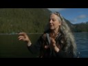 The problem with salmon farms in BC