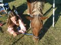 Show Season 2008