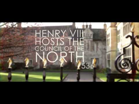 York 800