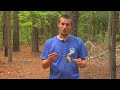 How to Use Plants & Animals to Survive in Nature : Wilderness Survival: Using Pinecones How to Use Plants & Animals to Survive in Nature : Wilderness Survival: Using Pinecones