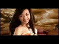 3GP Video Format