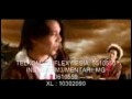 3GP Video Format
