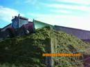 Ensilage de l\