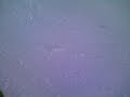 garcha snowboarding - catchin up to yagen at end@northstar
