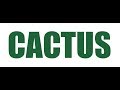 The Cactus Song (DJ DiZzy & P-Swizzle - YouTube