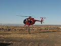 Bighorn sheep capture in Oregon