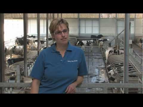 Smart Farmers aan het woord - Familie Costers over HBR draaistal