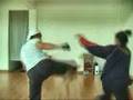 Test Fight#2: Michelle vs Hong