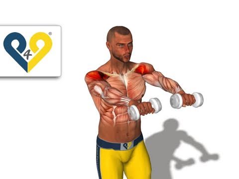 front delt - Dumbbell Front Raise: an excellent exercise to train the anterior deltoid muscle.