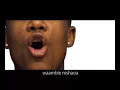 Cinderella - Ali Kiba (East Africa)