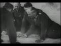 The German Blunder At Dunkirk (Part 1/3)