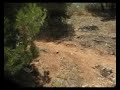 cortao karramolo 2 ( beni y anthzony)