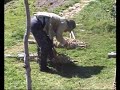El Torno. Historia de un borreguero 1/3 El Torno