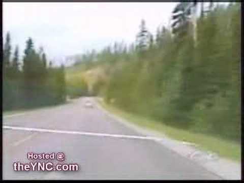 Car Chases- Brocken Leg