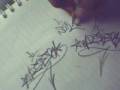 videos de my taggs - mis placasos