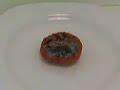 Tomato time lapse