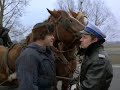 Mi? - flejowaty ko?, a raczej szkapa ; )