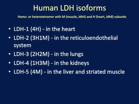 how to perform ldh test