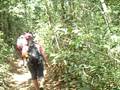 videos de Natural trilhas - cam. para inhumas - entrando na mata de inhumas.ASF